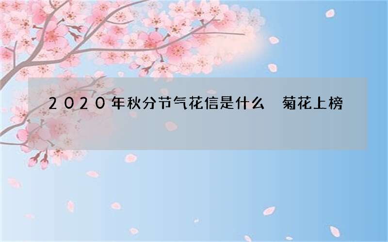2020年秋分节气花信是什么 菊花上榜